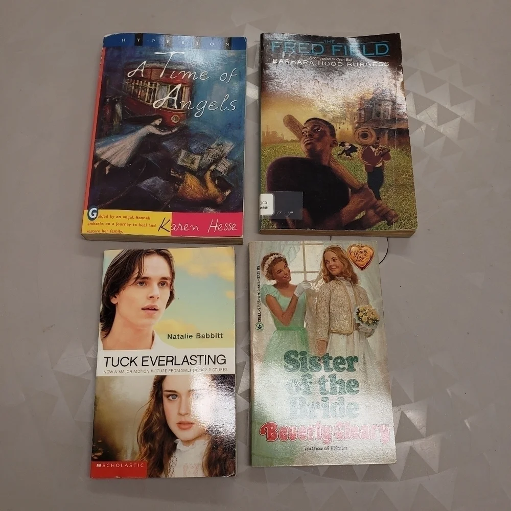 kids/ preteen chapter book bundle of 4